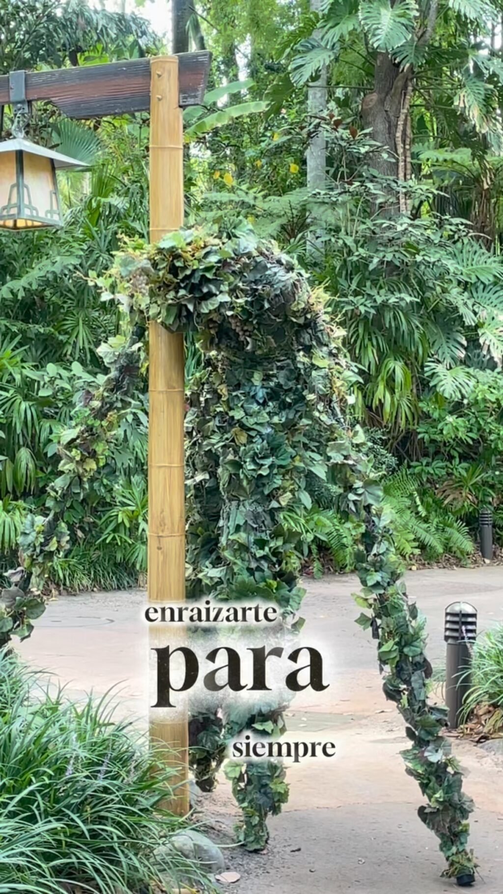 Instagram post from caroherrera_expansion. This post is in position 1.