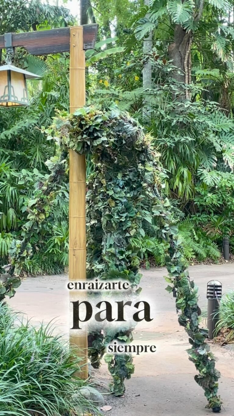 Instagram post from caroherrera_expansion. This post is in position 2.